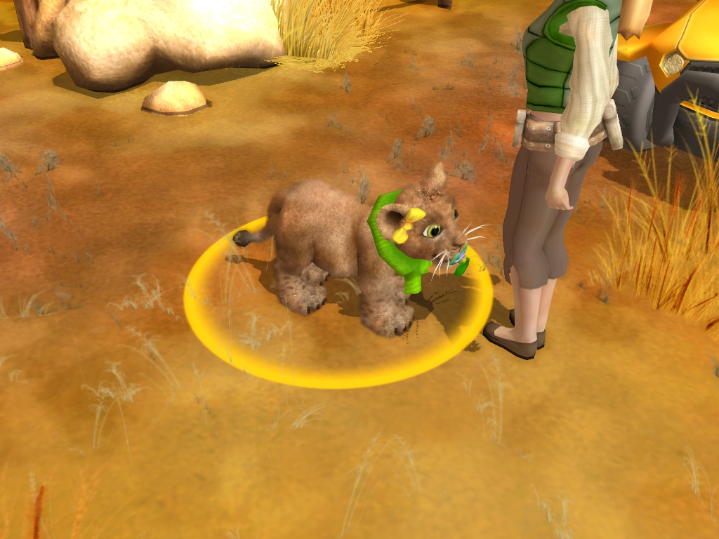 Wildlife Camp screenshot 14