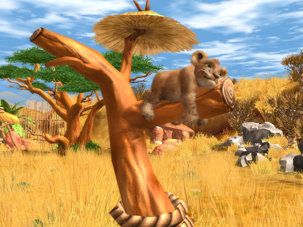 Wildlife Camp screenshot 1