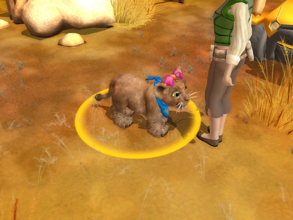 Wildlife Camp screenshot 15