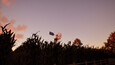 Screenshot #3
