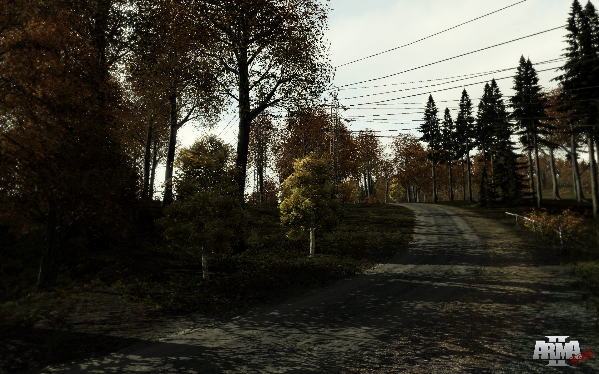Arma 2 screenshot 13