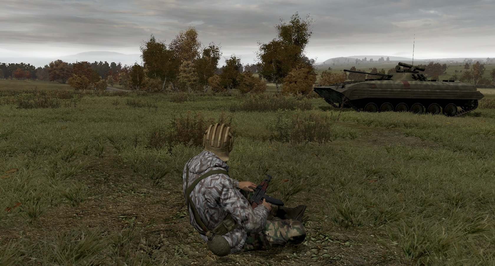 Arma 2 screenshot 14