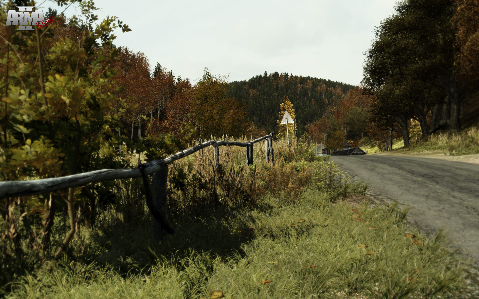 Arma 2 screenshot 12