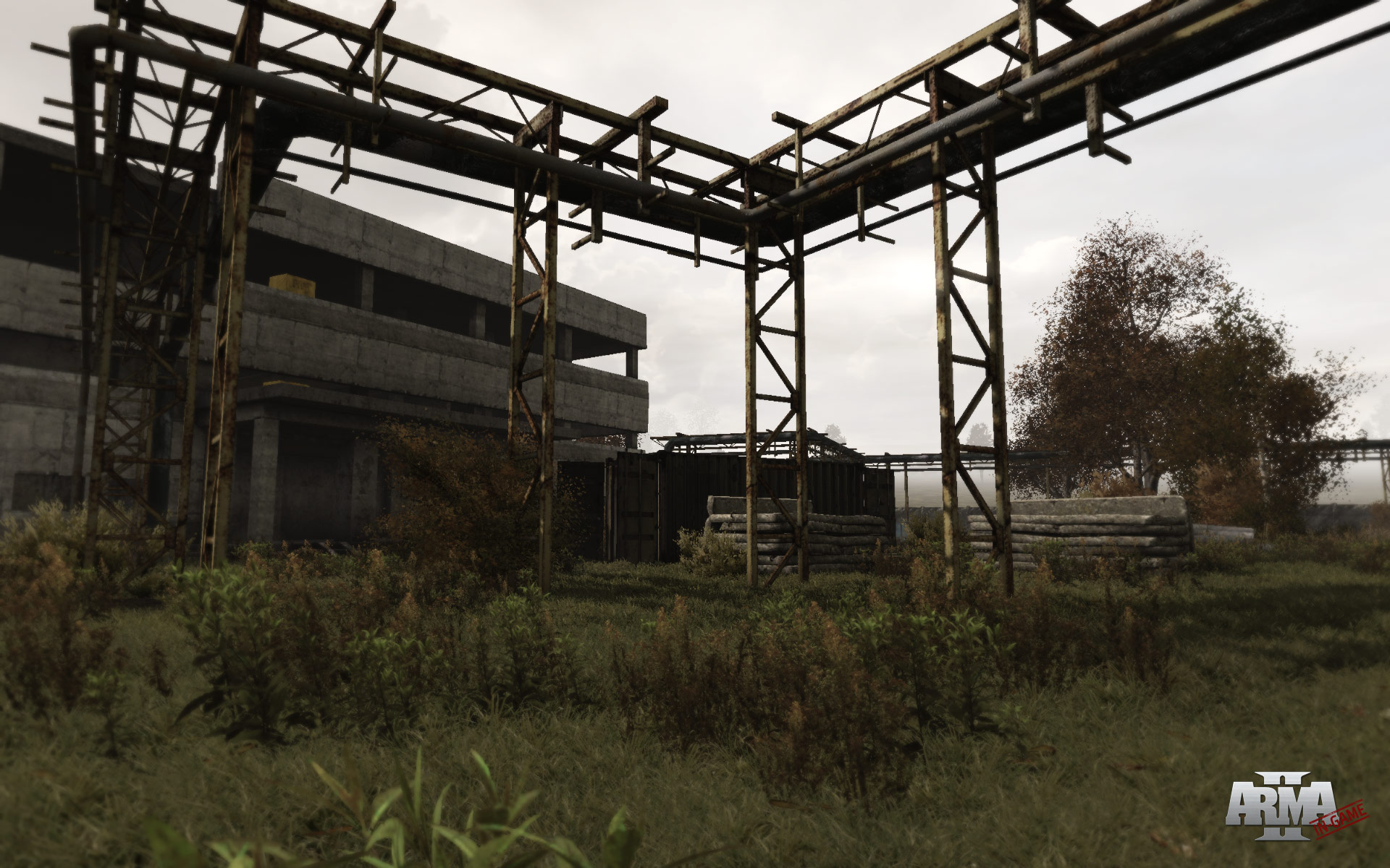 Arma 2 screenshot 18
