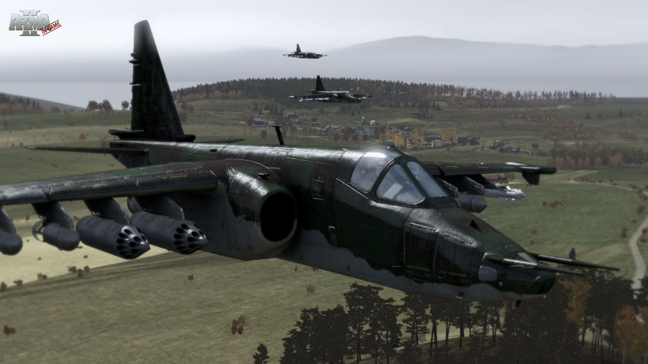 Arma 2 screenshot 16