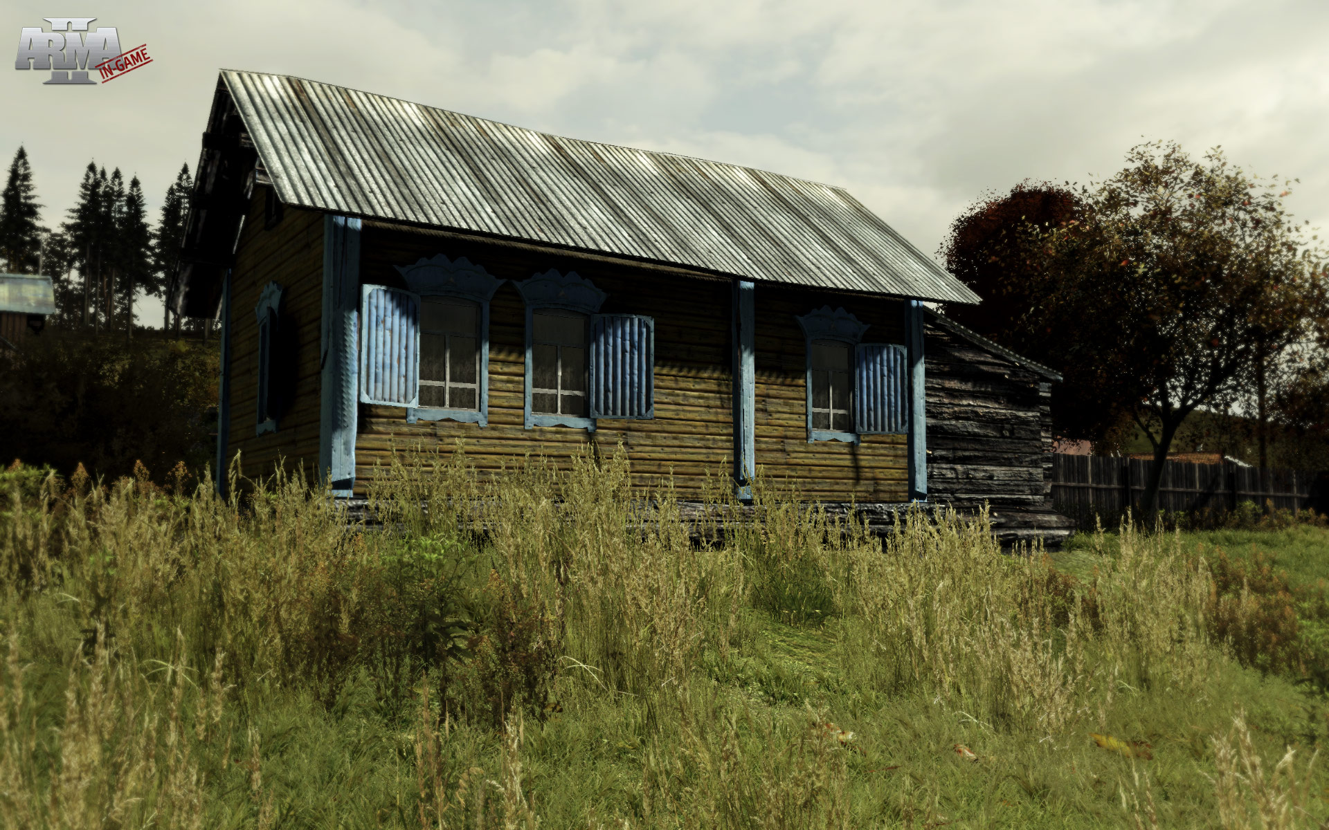 Arma 2 screenshot 19