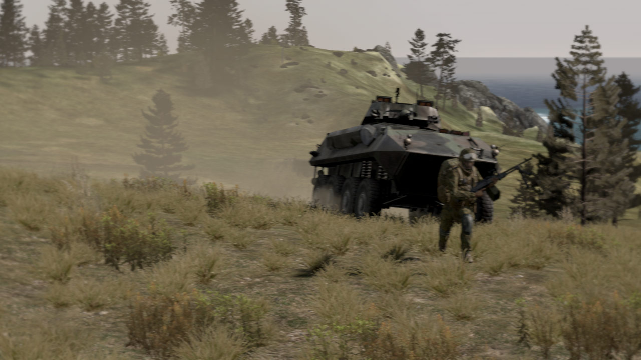 Arma 2 screenshot 10