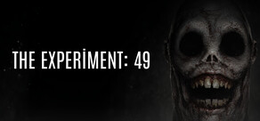 THE EXPERIMENT: 49