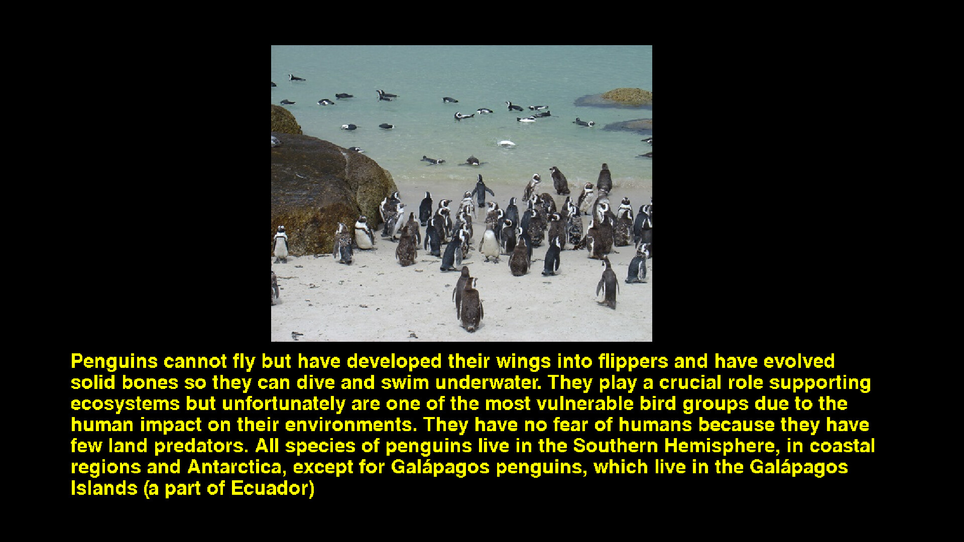 Quiz & Learn: Geography screenshot 5