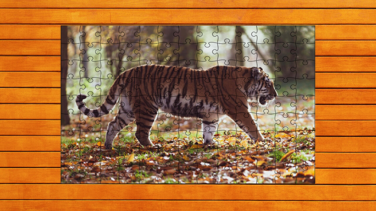 Big Cat Jigsaw Quest screenshot 6