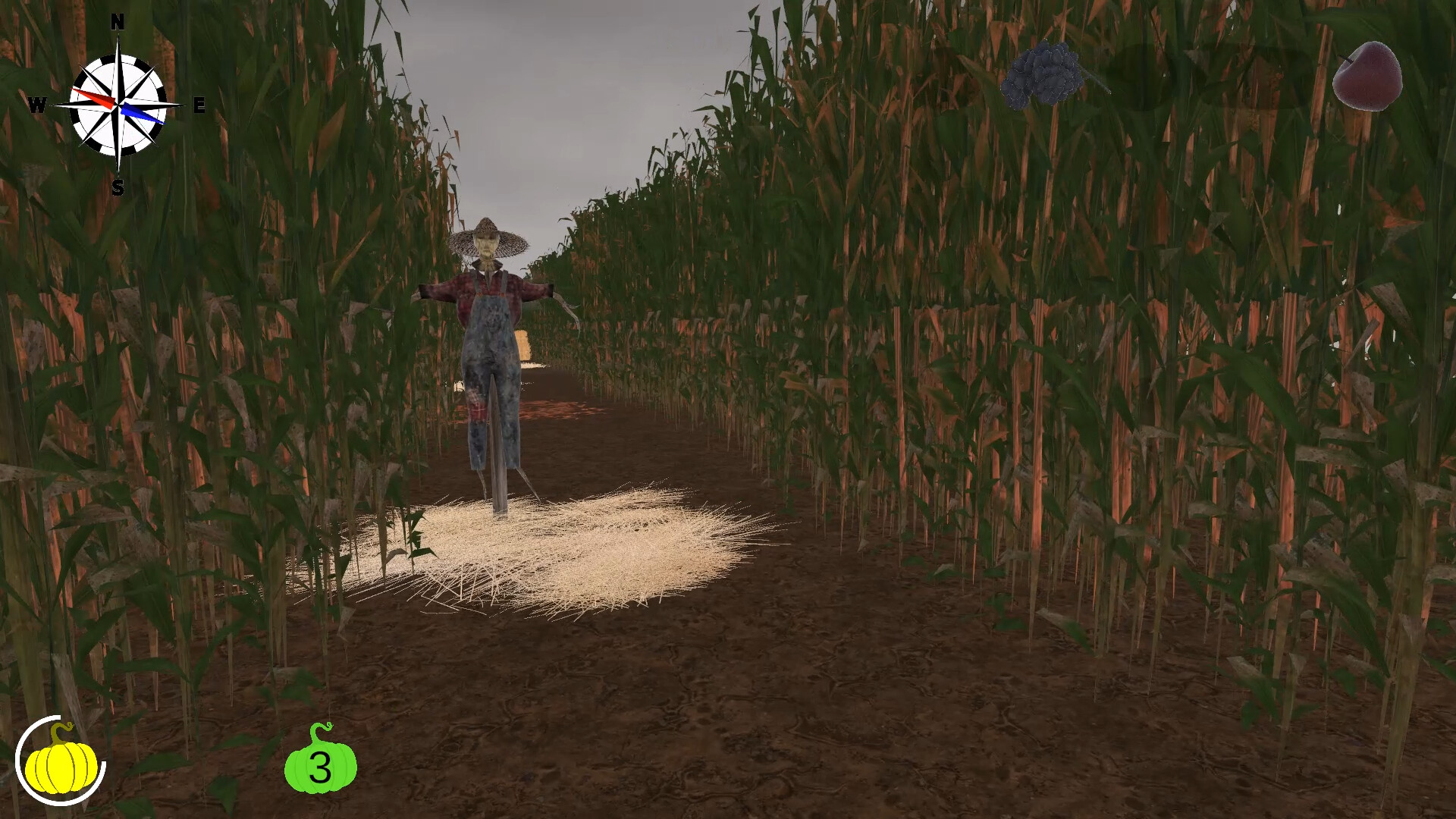 MAiZE screenshot 20