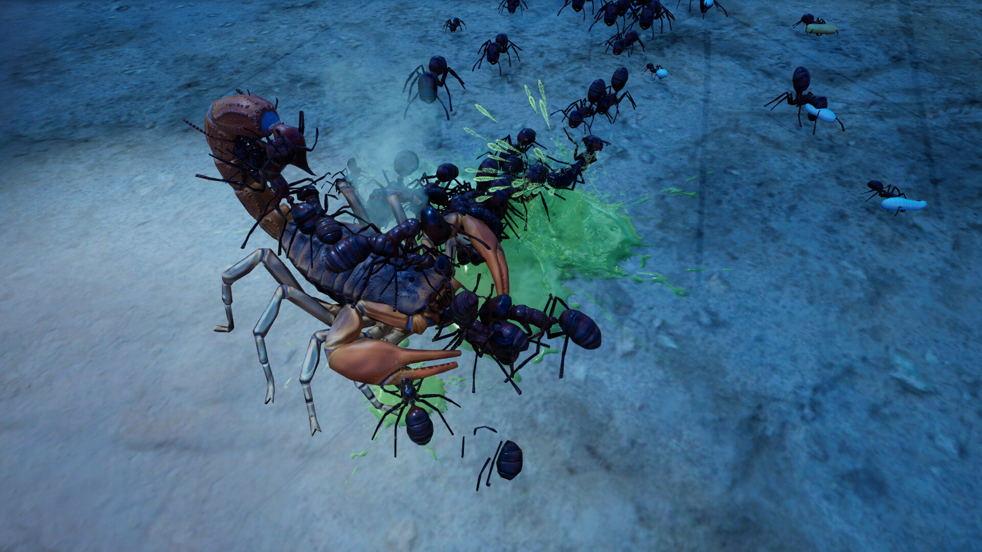 Empires of the Undergrowth - Exploding Ants screenshot 6