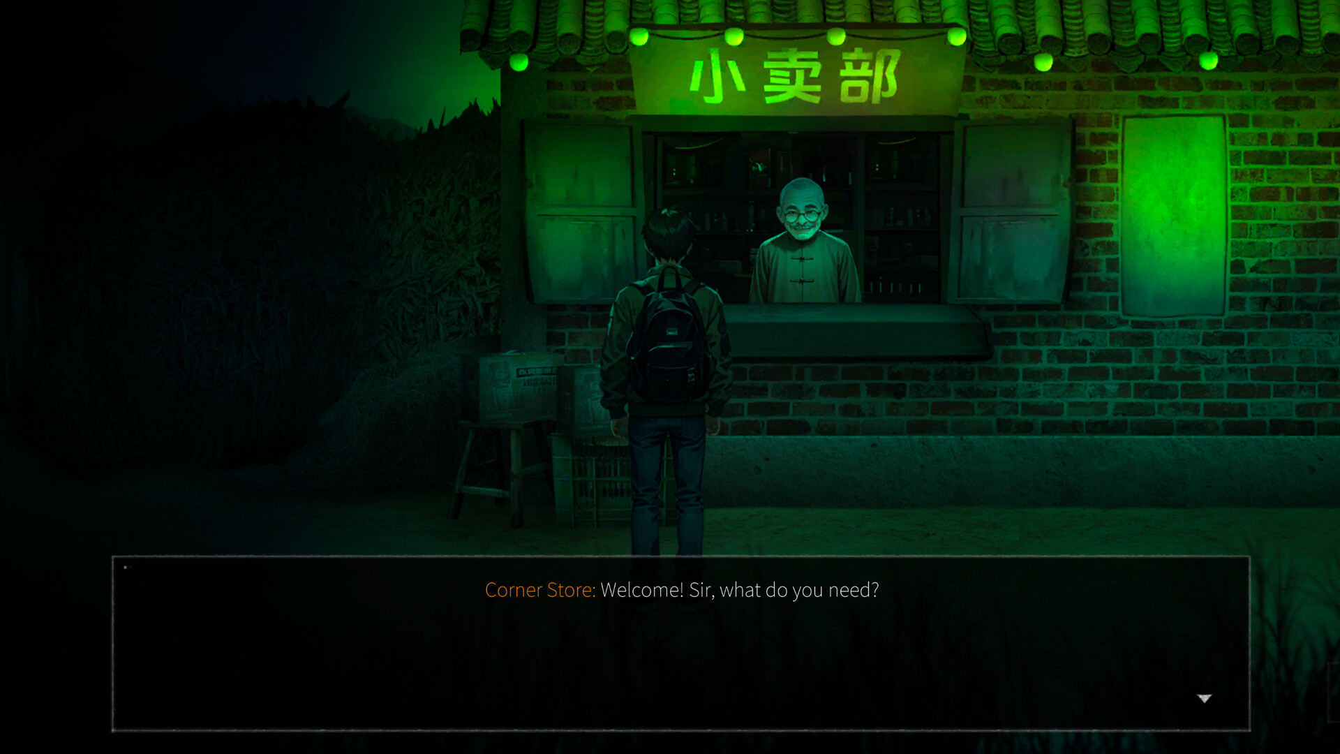 永夜镇EternalNightTown screenshot 6