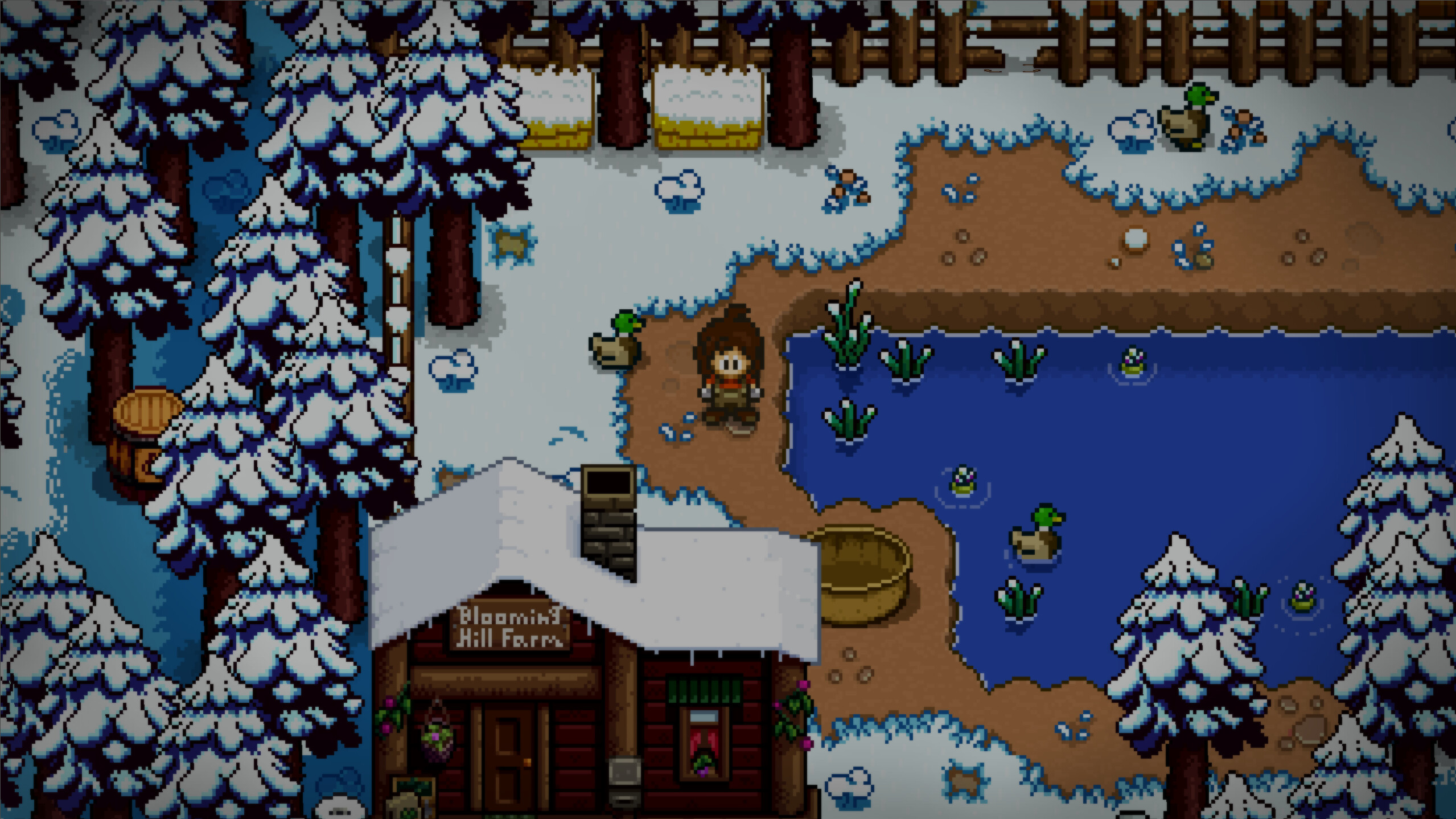 Timora Isle screenshot 10