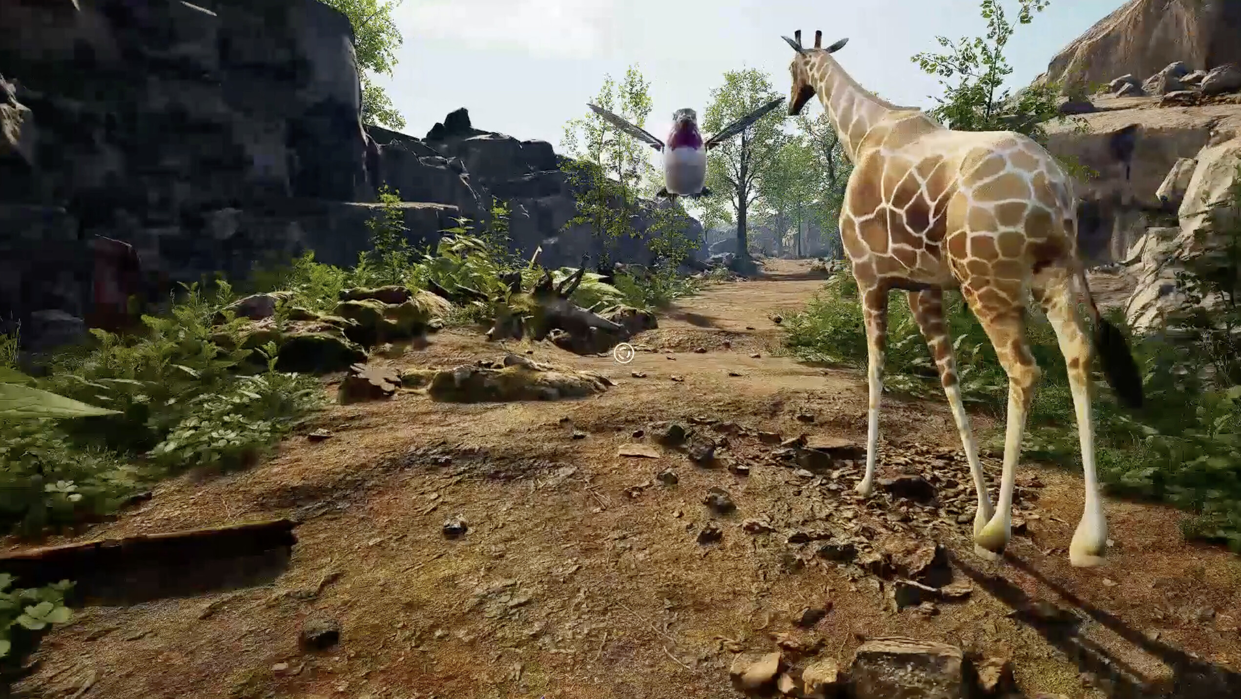 NOAH'S VRK screenshot 4
