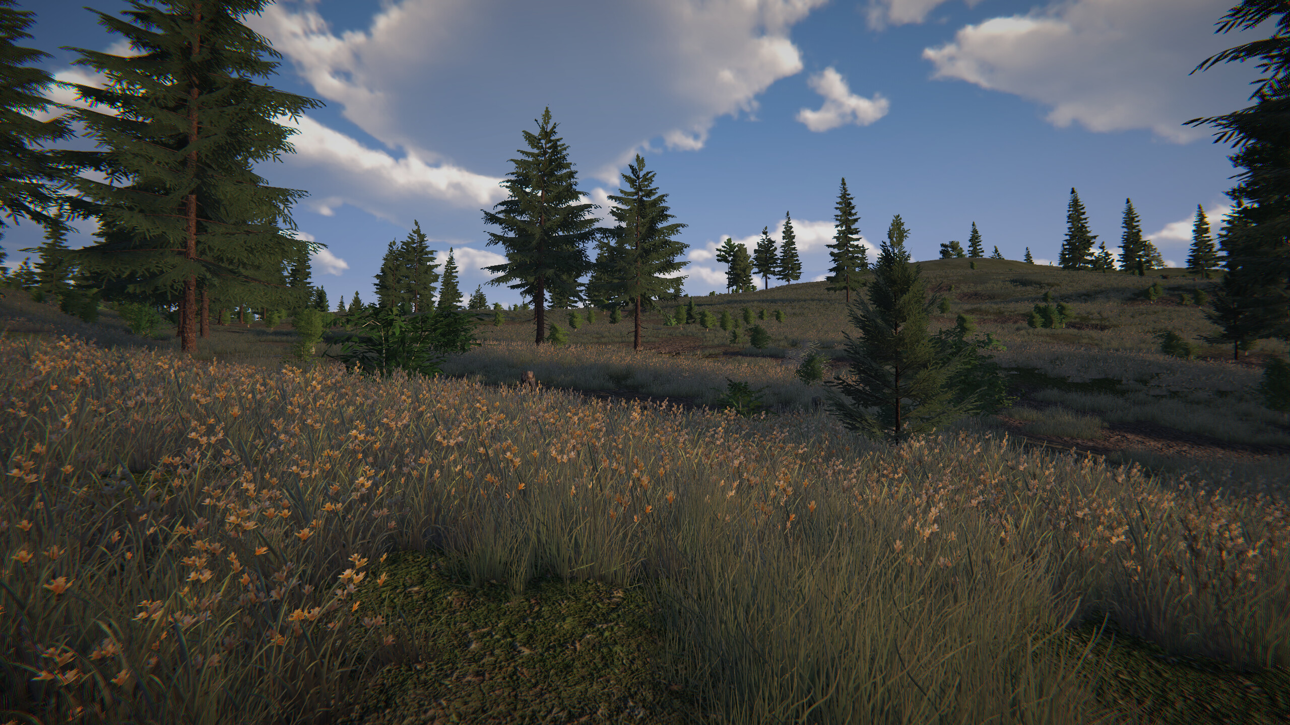 Birds Hunter screenshot 8