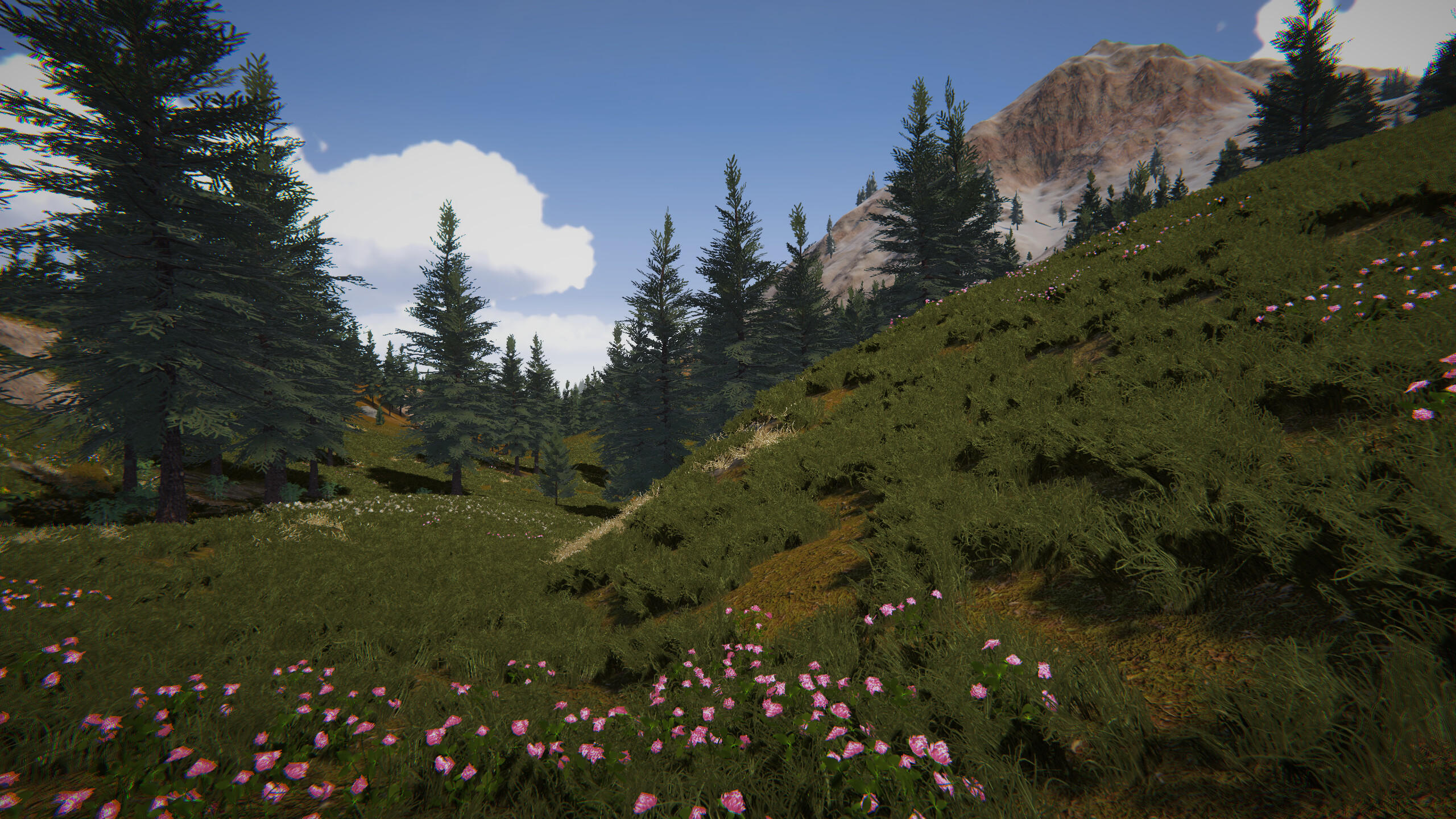 Birds Hunter screenshot 9