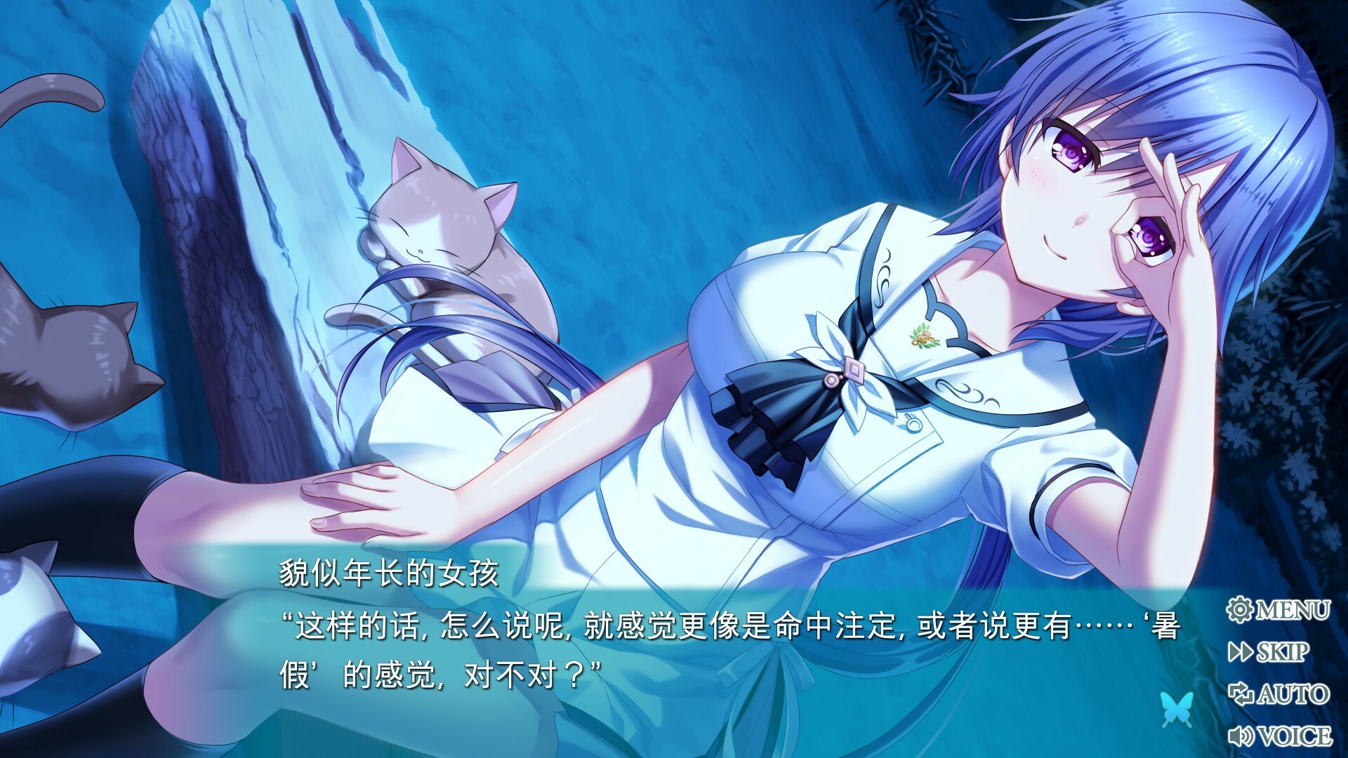 【完品】PCソフト Summer Pockets REFLECTION BLUE Summer Pockets REFLECTION BLUE on Steam