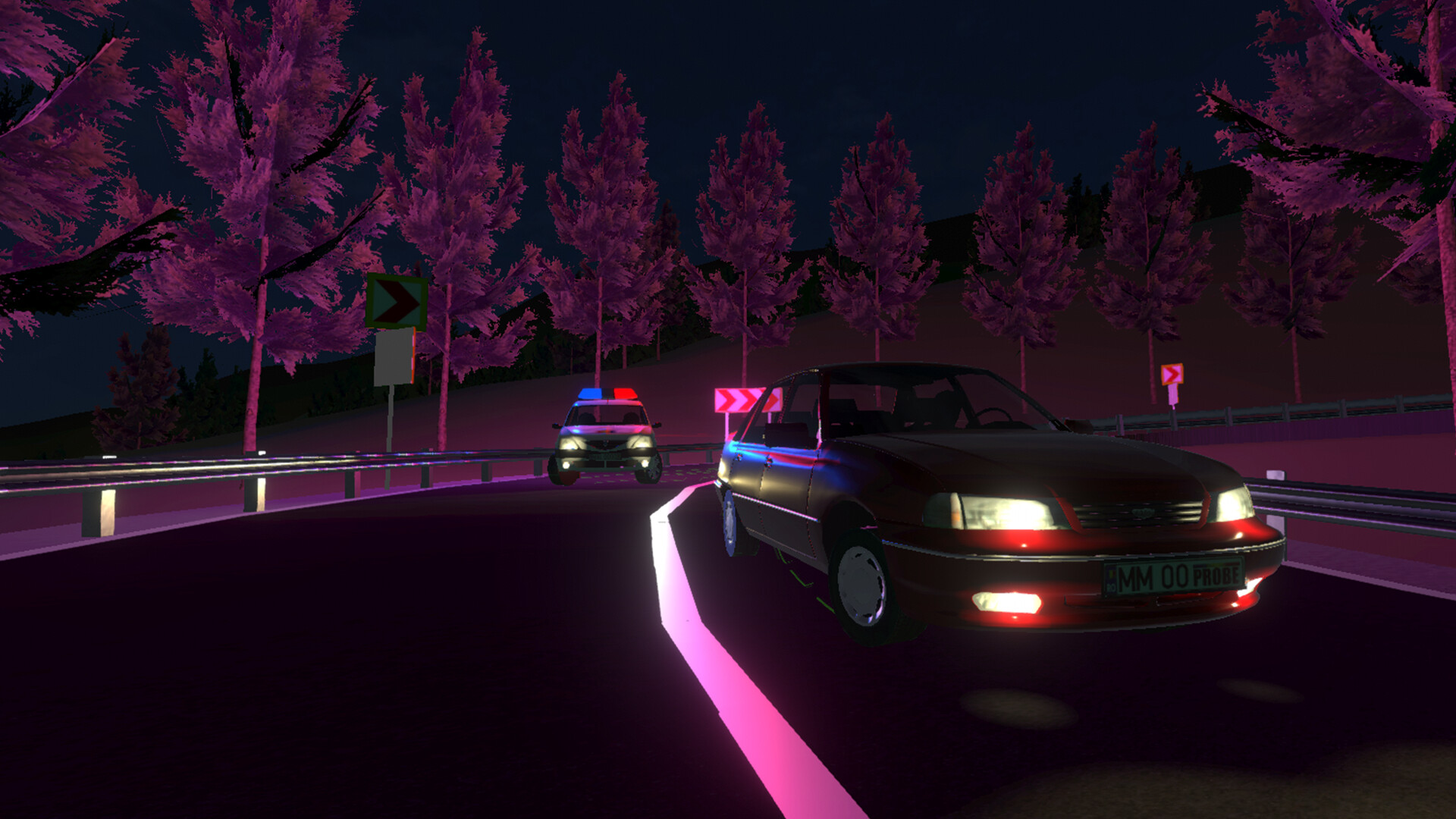 Transylvania Drift screenshot 8