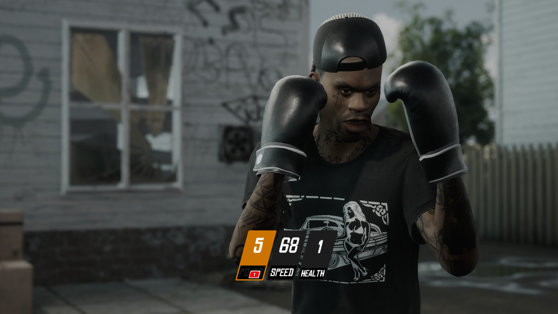 Backyard Boxing screenshot 3