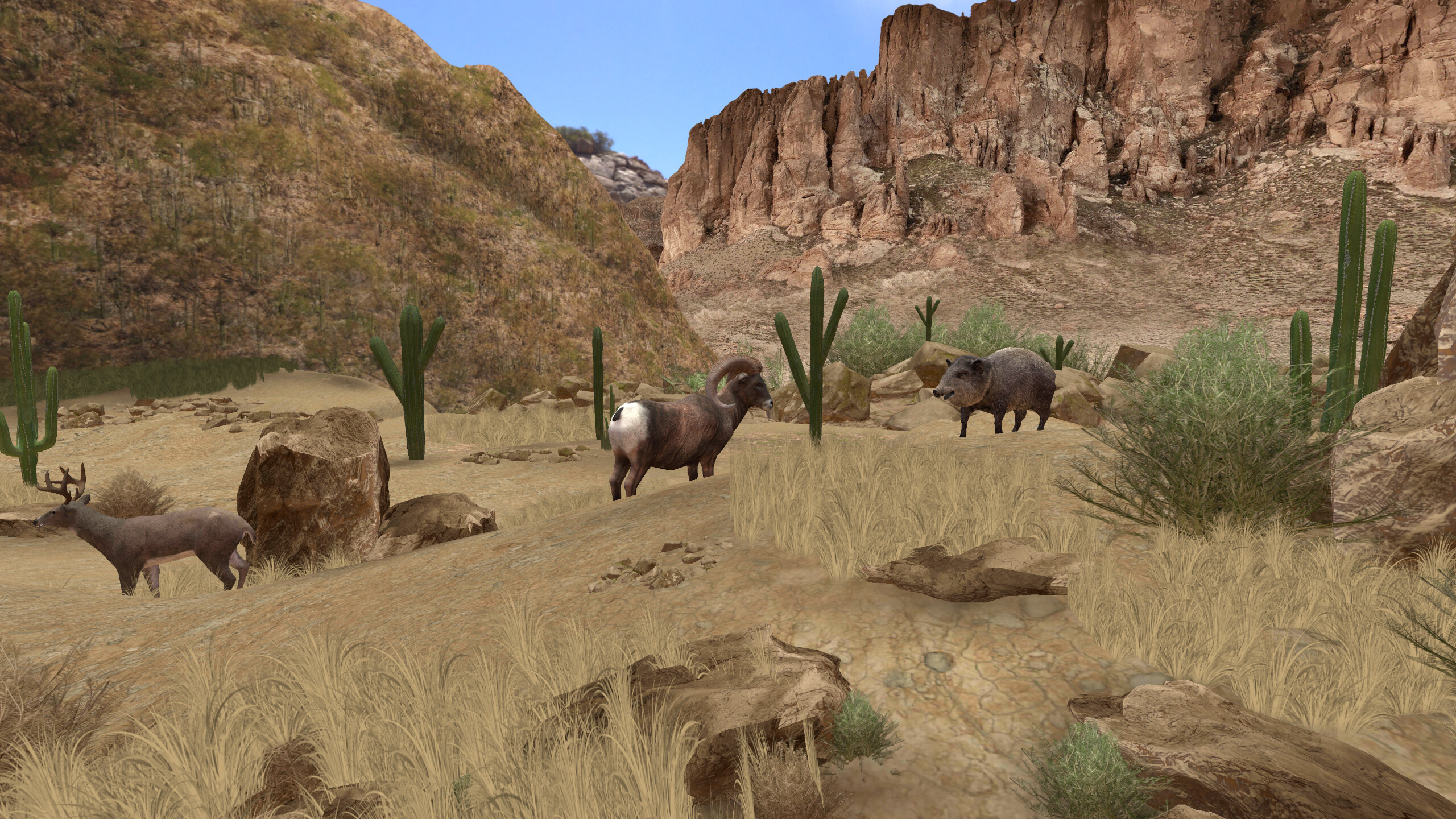 AccuBow VR screenshot 3
