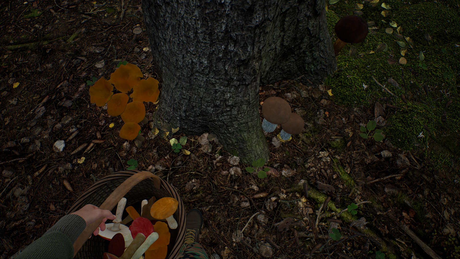 Mushroom Hunter Simulator screenshot 5