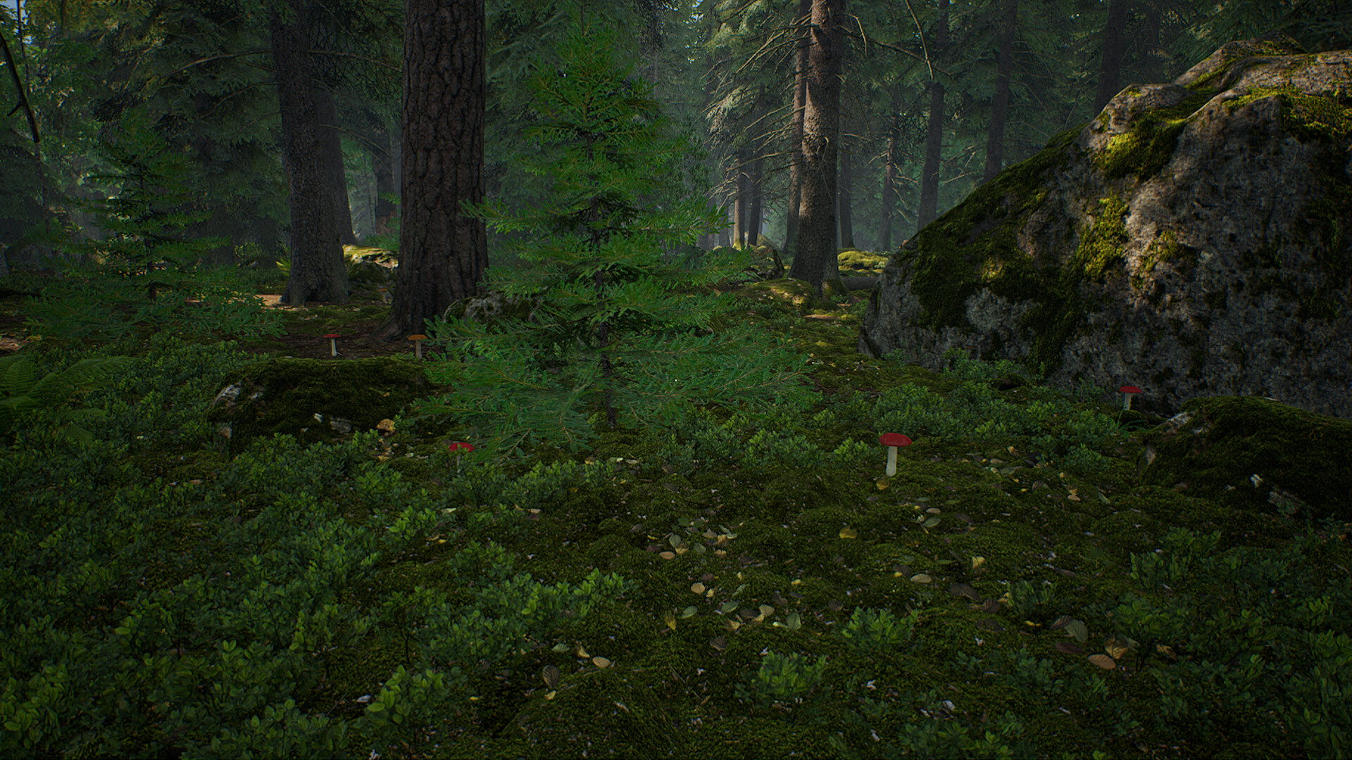 Mushroom Hunter Simulator screenshot 11