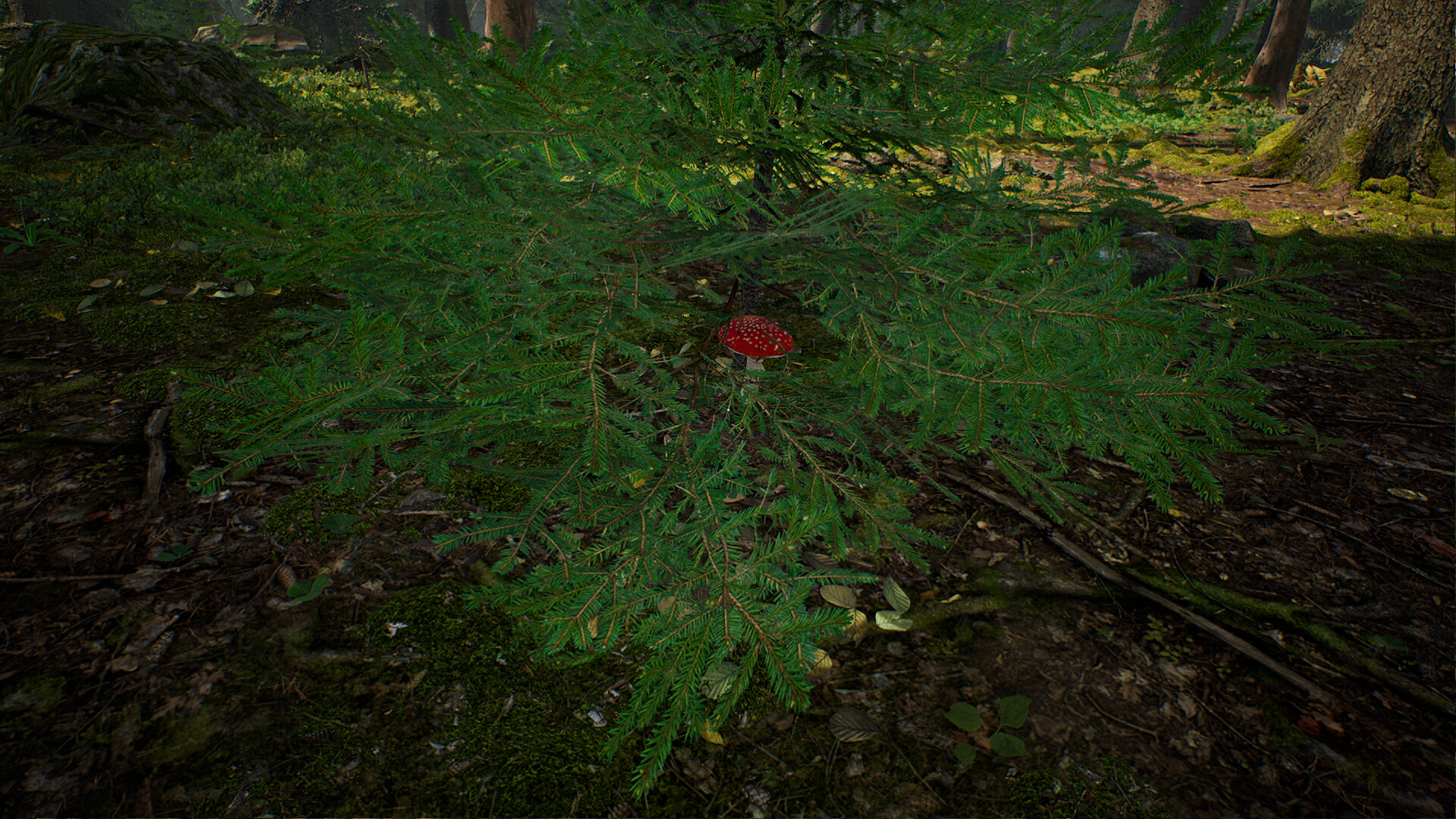 Mushroom Hunter Simulator screenshot 8