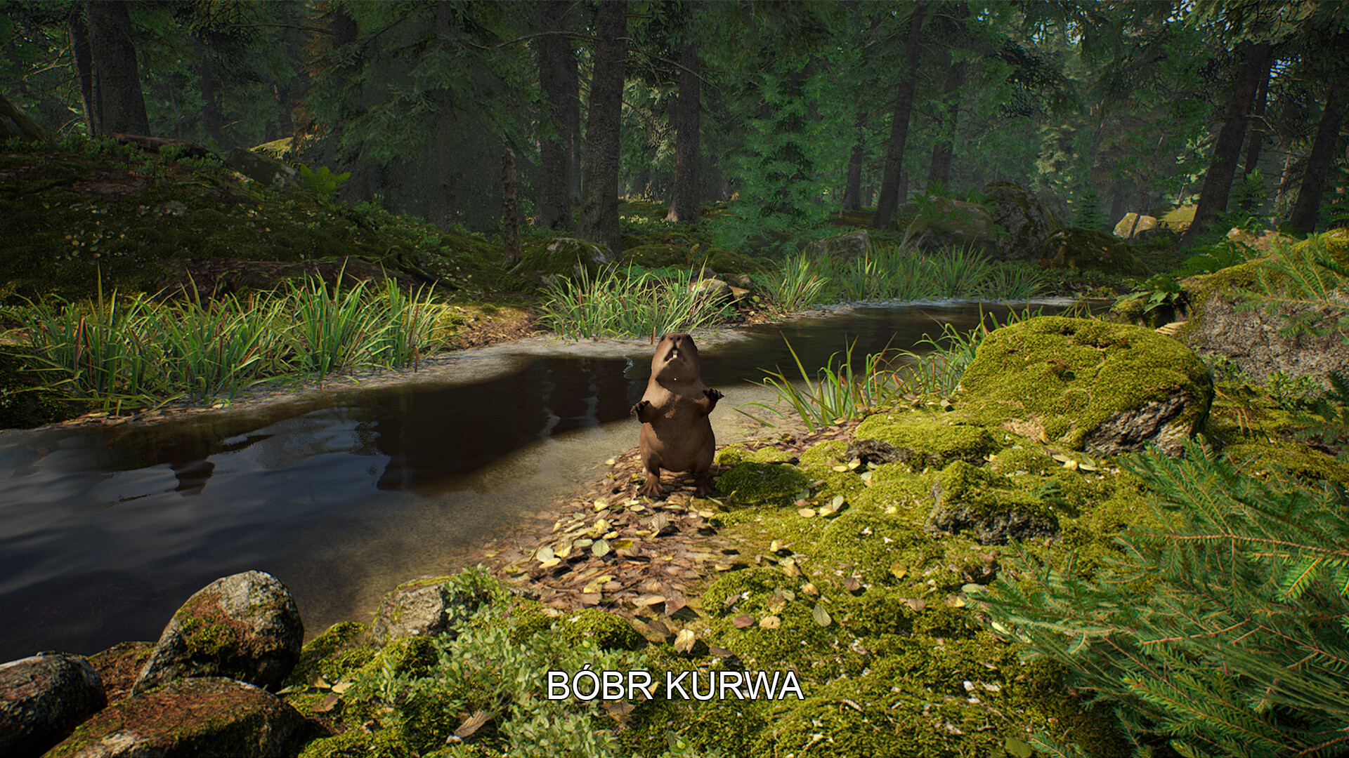 Mushroom Hunter Simulator screenshot 4