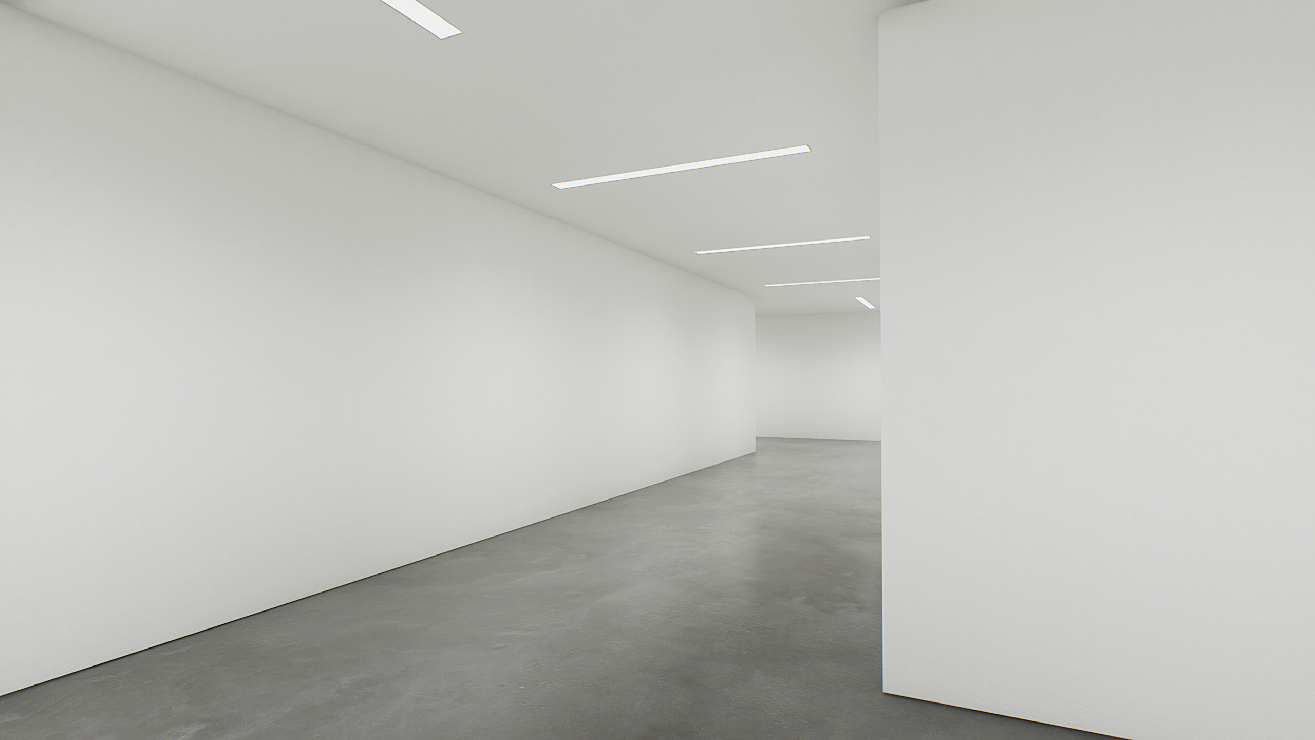 Twisted Gallery screenshot 4