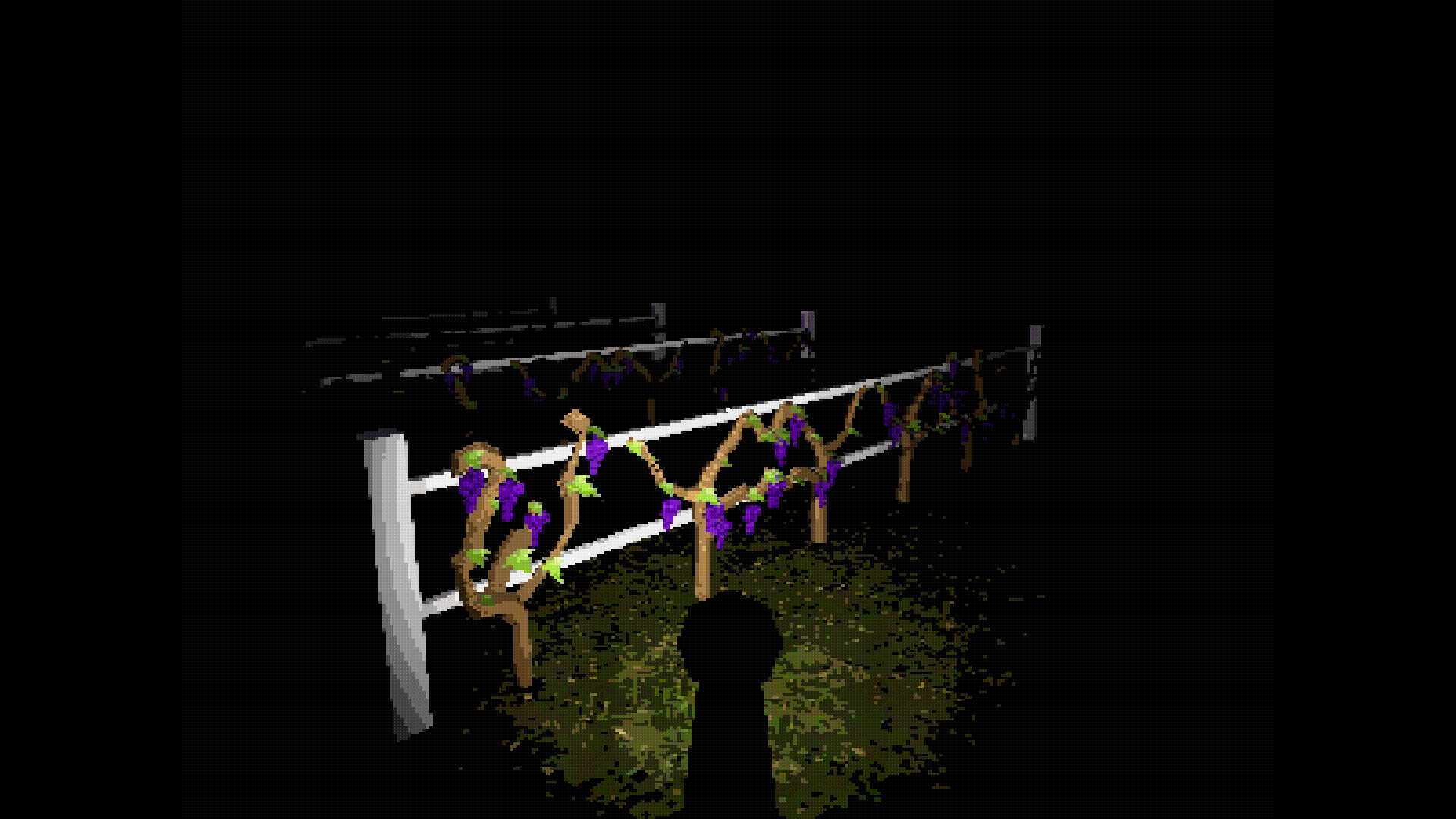 Vineyard screenshot 1