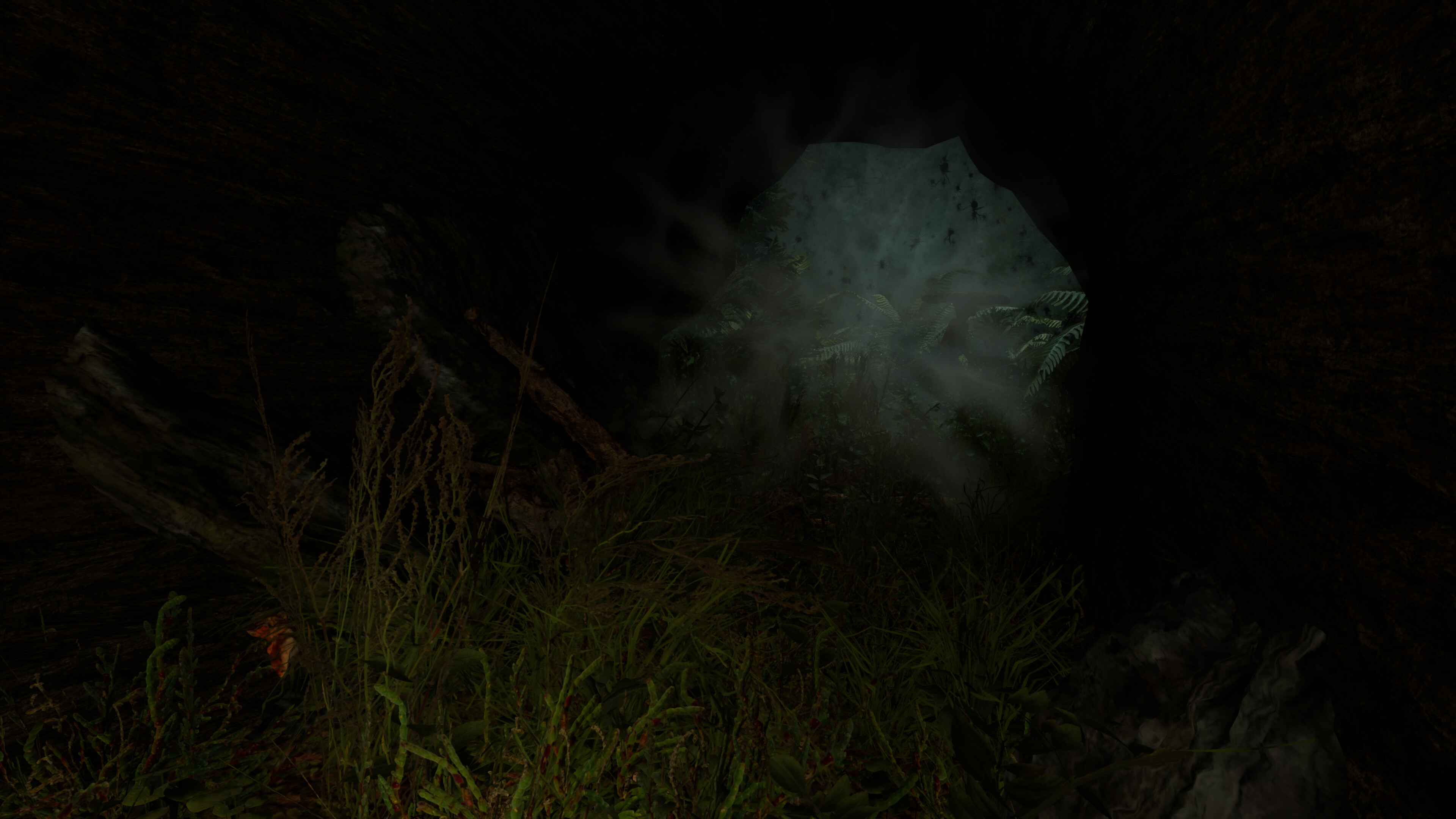 Proytz screenshot 5