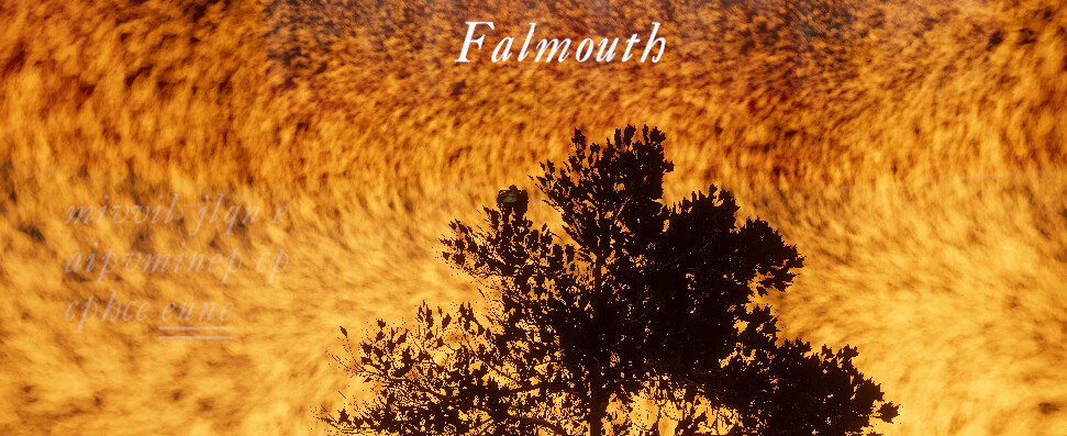 Falmouth screenshot 2