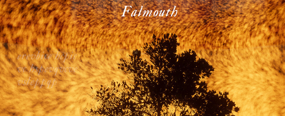 Falmouth screenshot 4