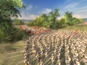 Screenshot #14