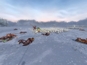 Screenshot #9