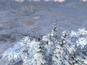 Screenshot #13