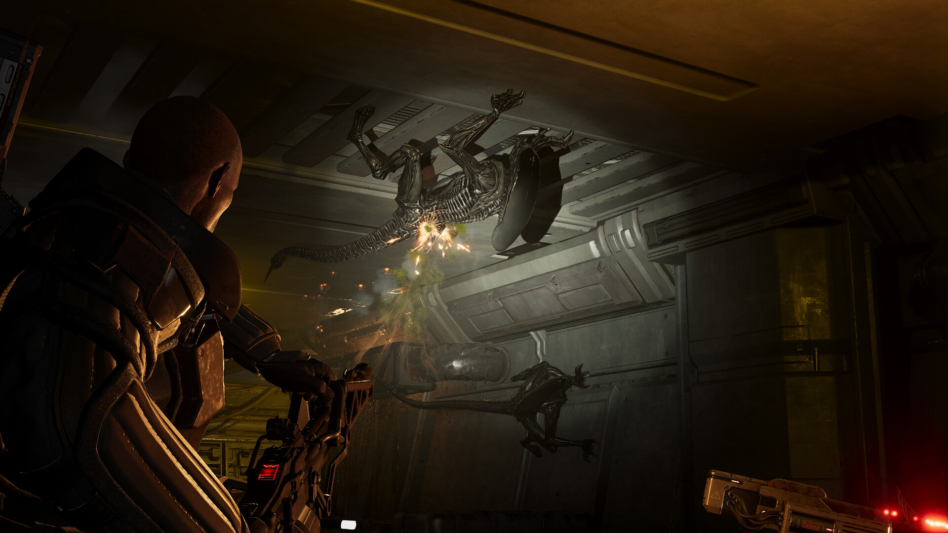 Aliens Fireteam Elite 2 gameplay screenshot 3