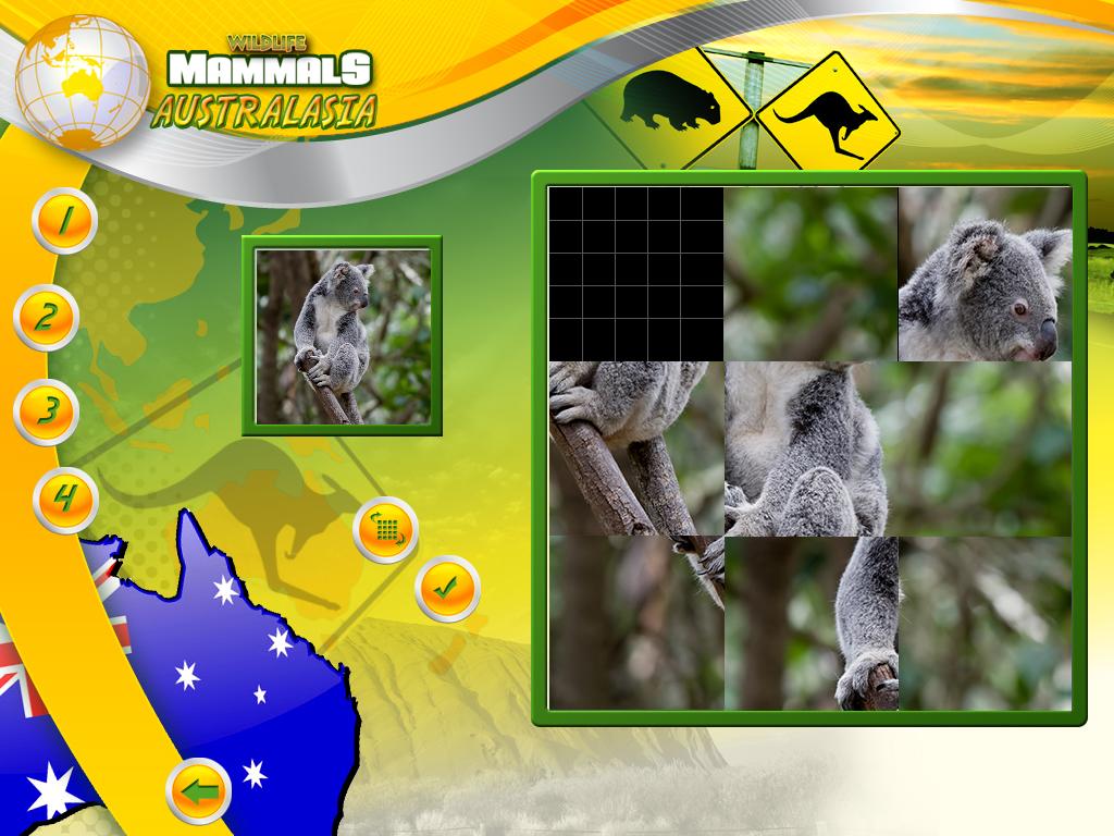 Wildlife Creative Studio screenshot 6