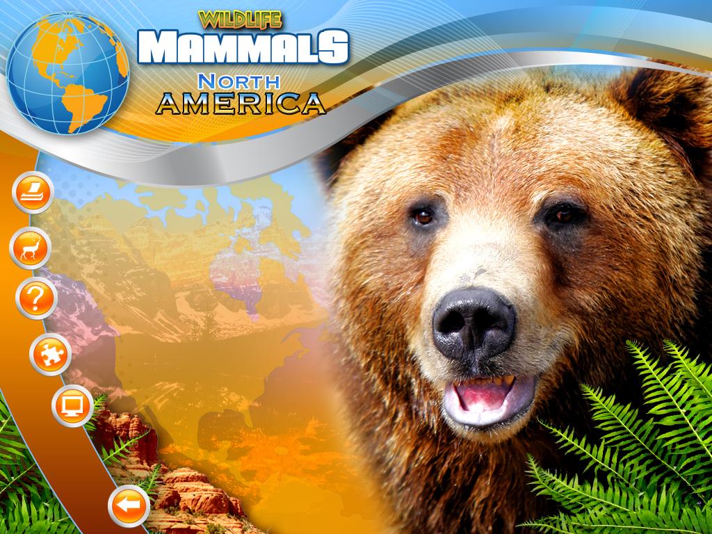 Wildlife Creative Studio screenshot 3