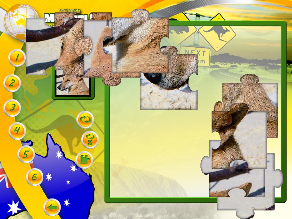 Wildlife Creative Studio screenshot 9