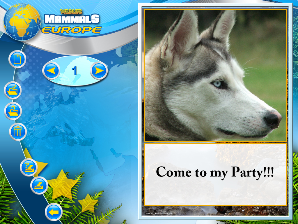 Wildlife Creative Studio screenshot 12