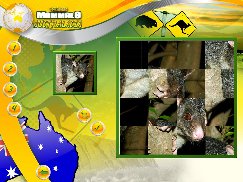 Wildlife Creative Studio screenshot 7