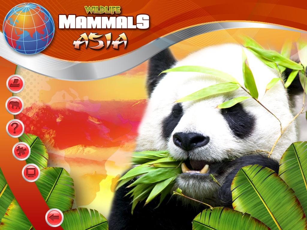 Wildlife Creative Studio screenshot 1