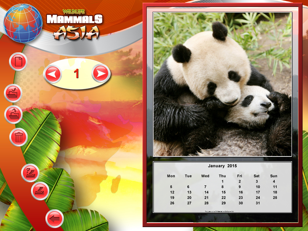 Wildlife Creative Studio screenshot 13