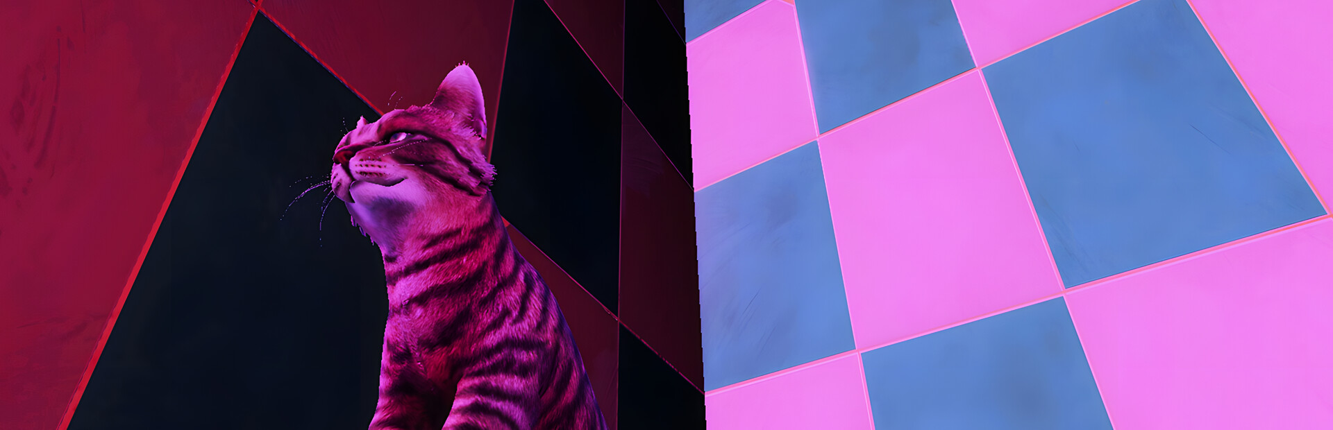 CatShift