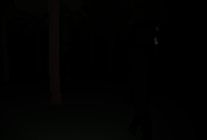 HGPP screenshot 4