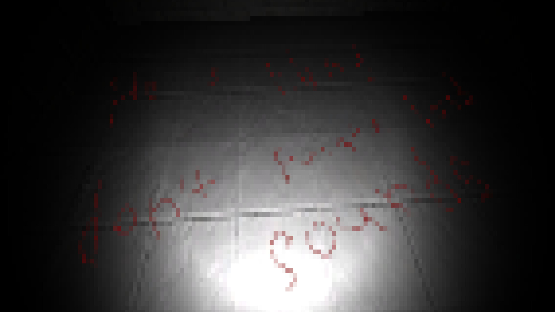 HGPP screenshot 1