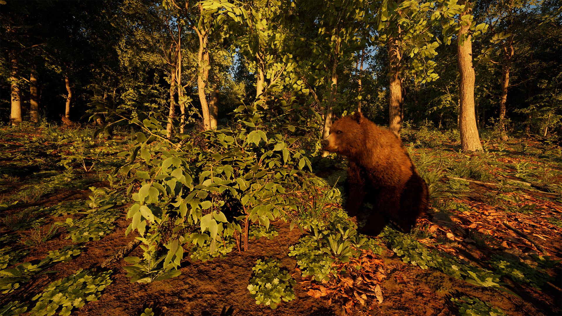 Carpathian Survival screenshot 5