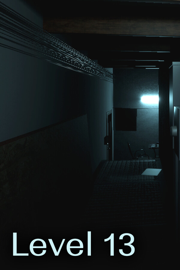 Level 13